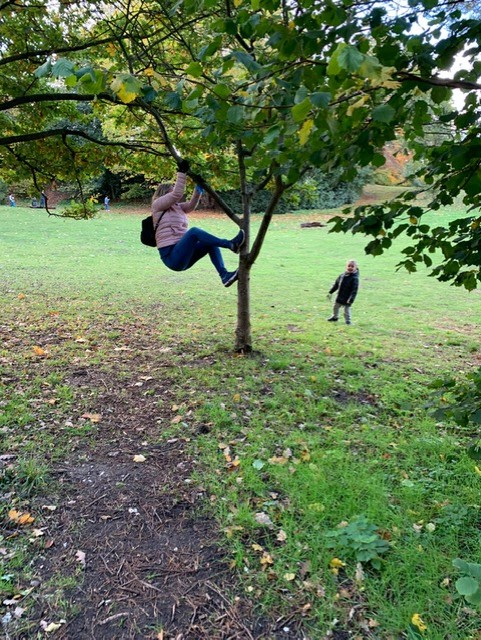 Julie climbing a tree in Wimbledon Common